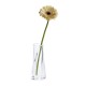 Vase REFLECTS-SAMMAMISH Vase REFLECTS-SAMMAMISH