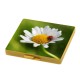 Motivpuzzle "Einstein", standard-blau PP Motivpuzzle "Einstein", standard-blau PP